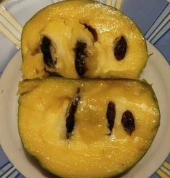 Veredelte Indianerbanane (Paw Paw) `Shenandoah®´ Asimina Triloba `Shenandoah´ -Pflanzensamenladen Indianerbanane von Innen5a0476156796c