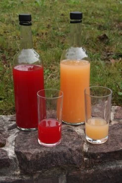 Rosette® Malus Domestica -Pflanzensamenladen Rosette Saft