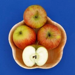 Malus Domestica 'Roter James Grieve' / 'Rubin'