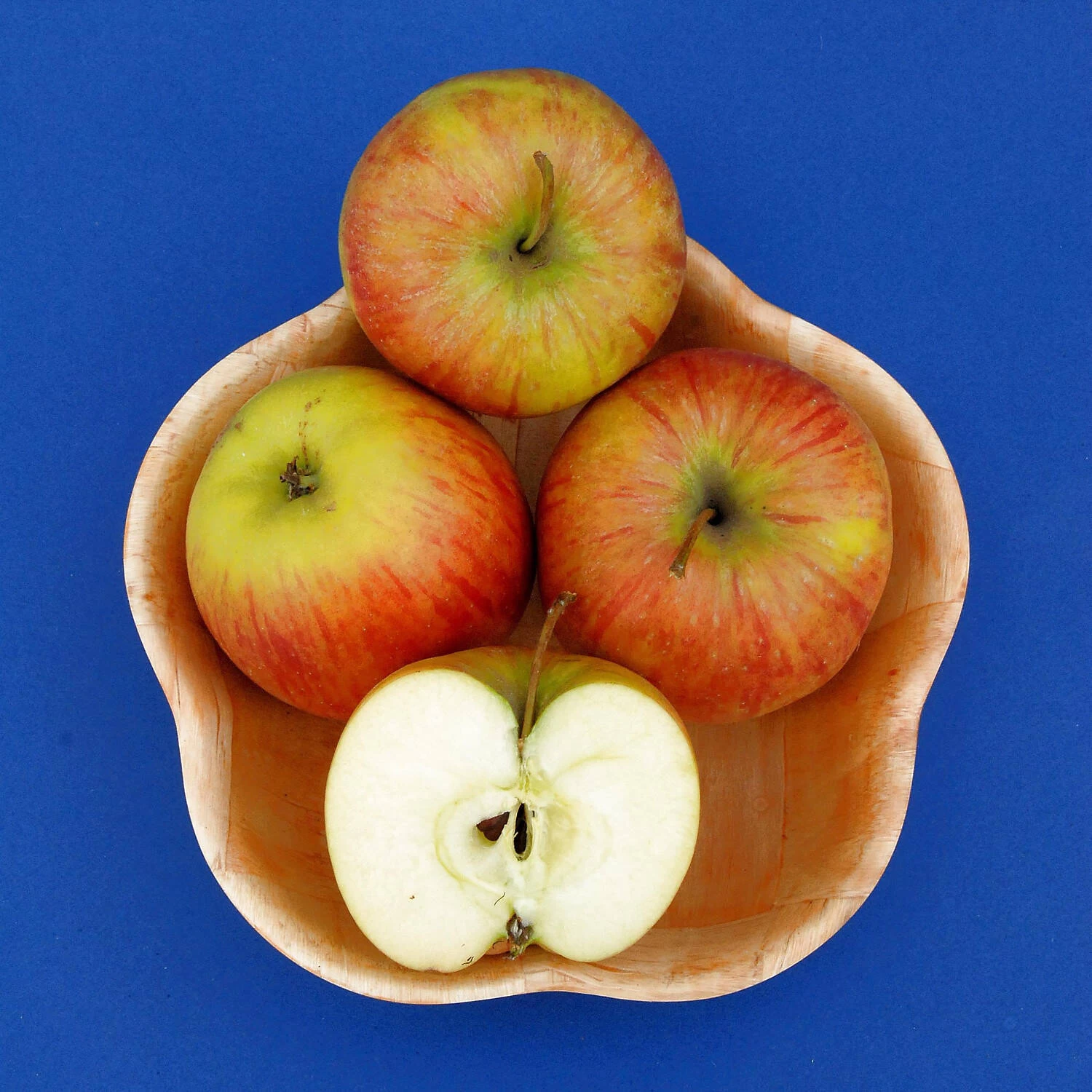 Malus Domestica 'Roter James Grieve' / 'Rubin' 3 Malus Domestica 'Roter James Grieve' / 'Rubin'