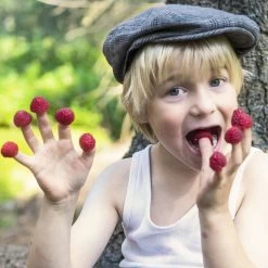 Rubus Idaeus 'Lucky Berry'® 9 Rubus Idaeus 'Lucky Berry'® -Pflanzensamenladen rubus idaeus lucky berry4