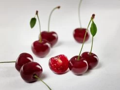 Achat Ⓢ Prunus Cerasus `Achat´ -Pflanzensamenladen sauerkirsche achat ggmc5Q8G1QL1D9